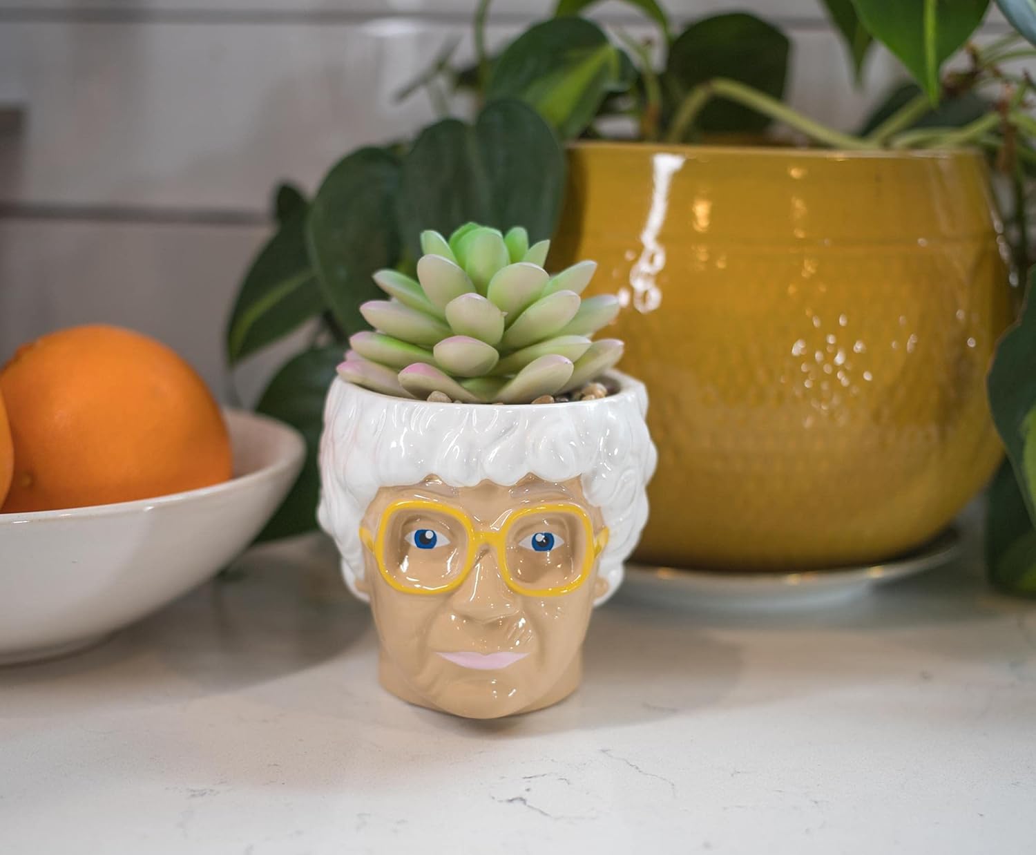 The Golden Girls Sophia Face Mini Ceramic Planter with Faux Succulent | 3 Inches