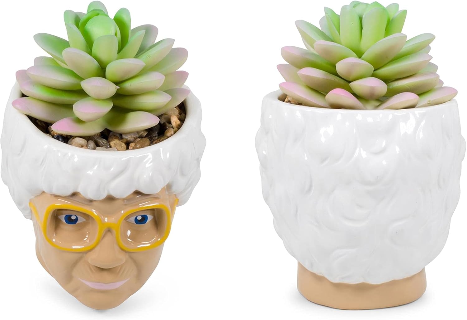 The Golden Girls Sophia Face Mini Ceramic Planter with Faux Succulent | 3 Inches