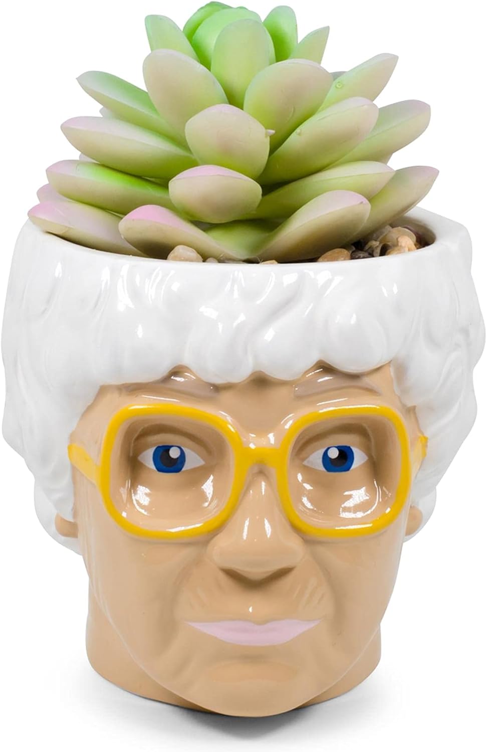 The Golden Girls Sophia Face Mini Ceramic Planter with Faux Succulent | 3 Inches
