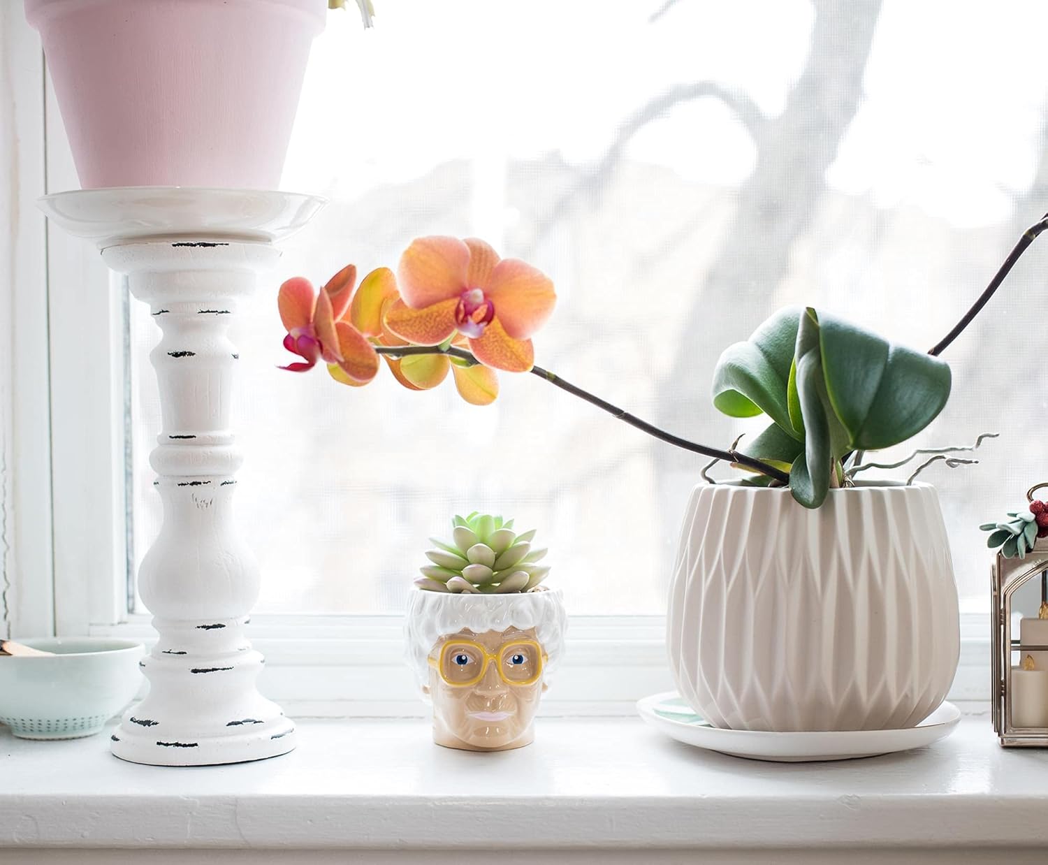 The Golden Girls Sophia Face Mini Ceramic Planter with Faux Succulent | 3 Inches